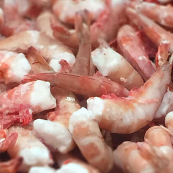 Gulf Shrimp 2lbs