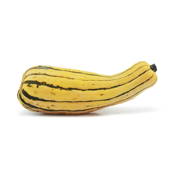 Delicata  Squash