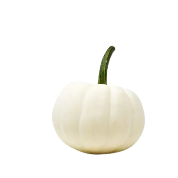 Decorative Mini White Pumpkin