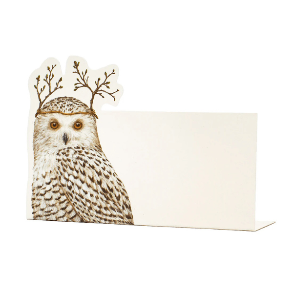 Winter Owl Place Card 12pk