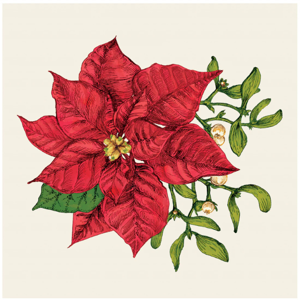 Poinsettia Cocktail Napkin 20pk