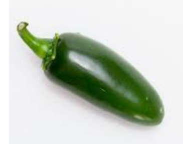 Jalapeno Pepper