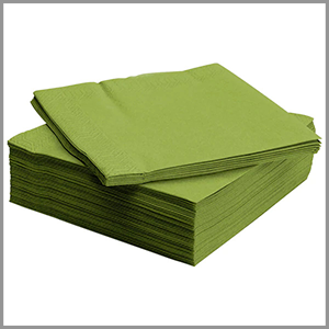 Fantastisk Green Napkins 15" x 50ct