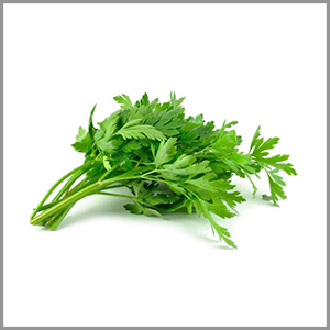 Fresh Curly Parsley