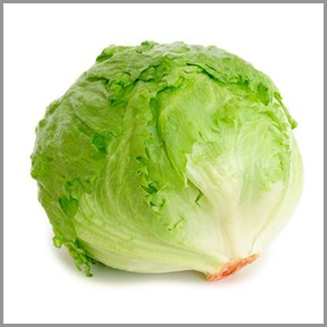 Iceberg Lettuce