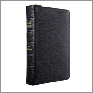 J.N. Darby No. 17 Medium Zip Bible