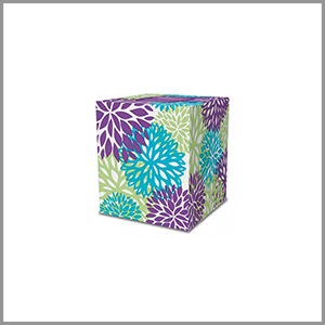 Member's Mark Facial Tissue 80ct