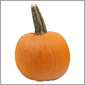 Small Pumpkin