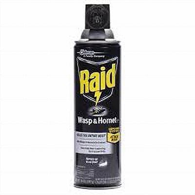 Raid Wasp & Hornet Spray 14oz