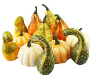 Assorted Gourds