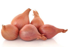 Shallot