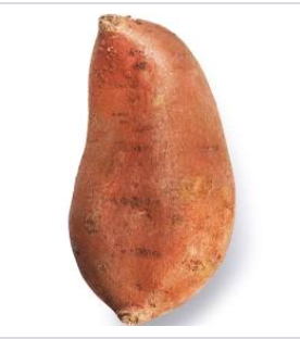 Sweet Potato